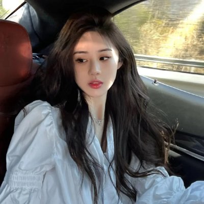 我的朋友是萌鲨